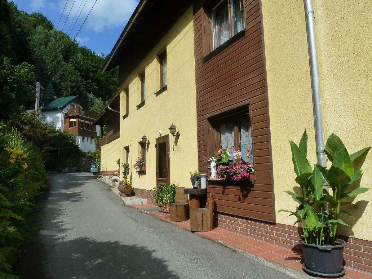 Pension Zaukeneck Bad Schandau Extérieur photo