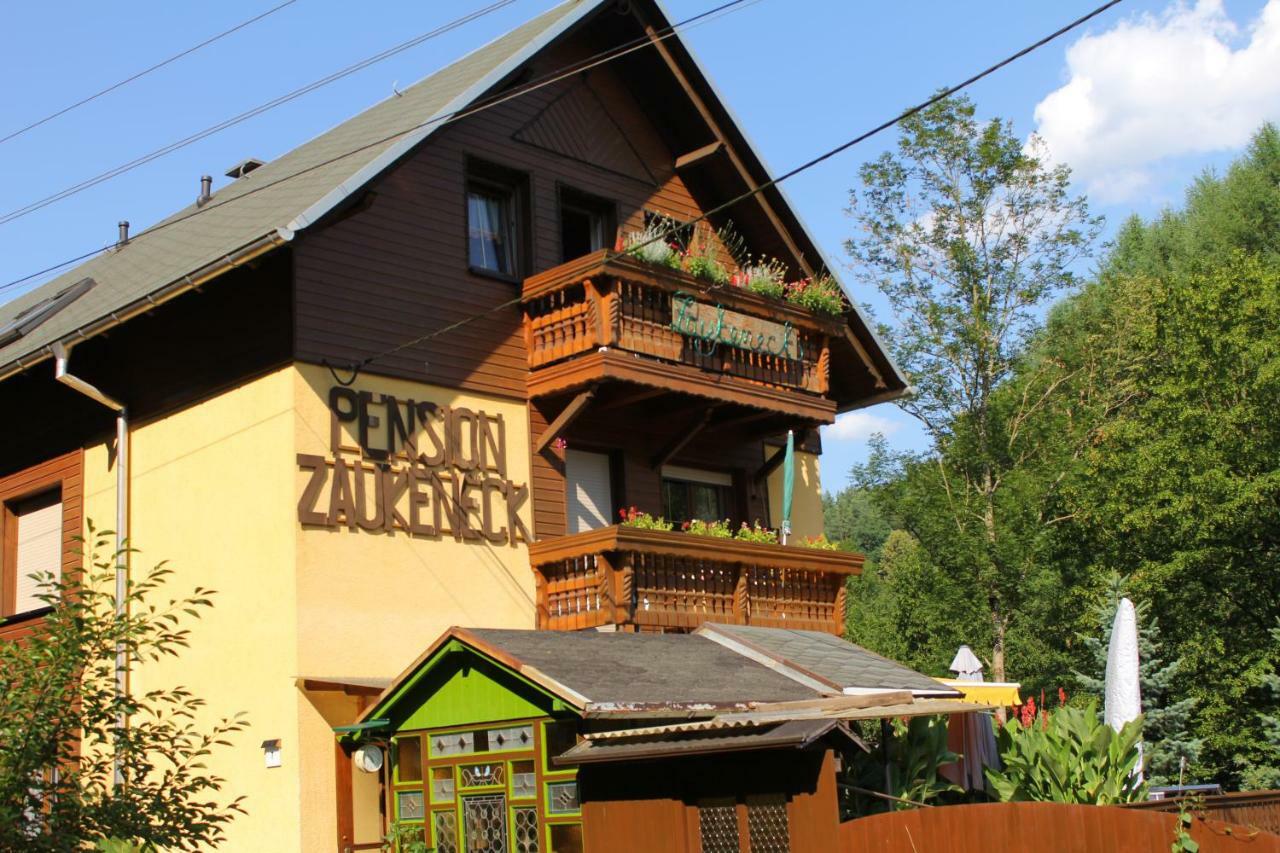 Pension Zaukeneck Bad Schandau Extérieur photo